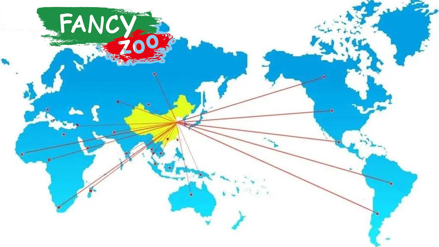 Our factory production line